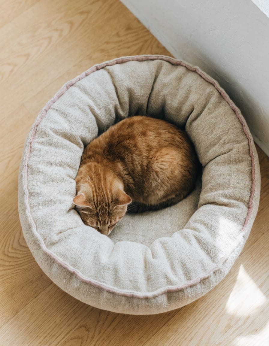 Bolster Cat Bed, view 2