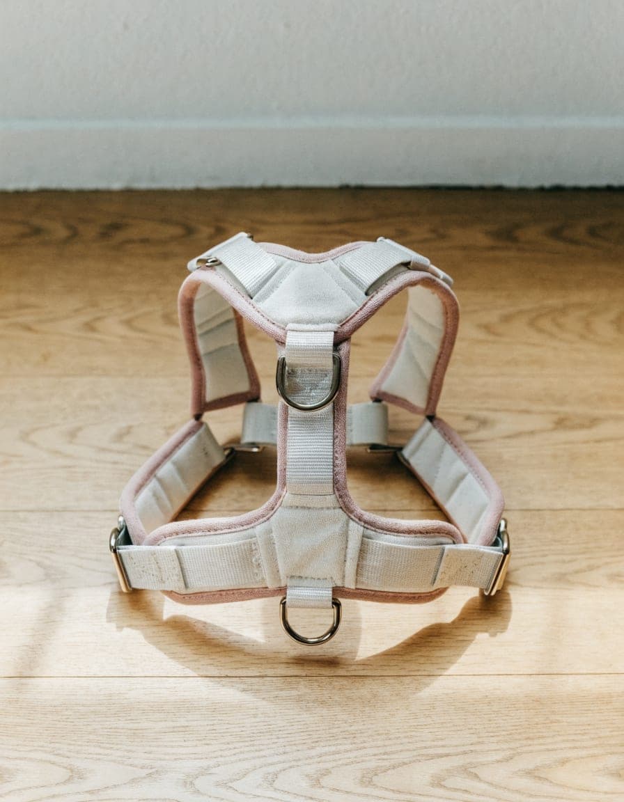 Padded No Pull Harness, view 2