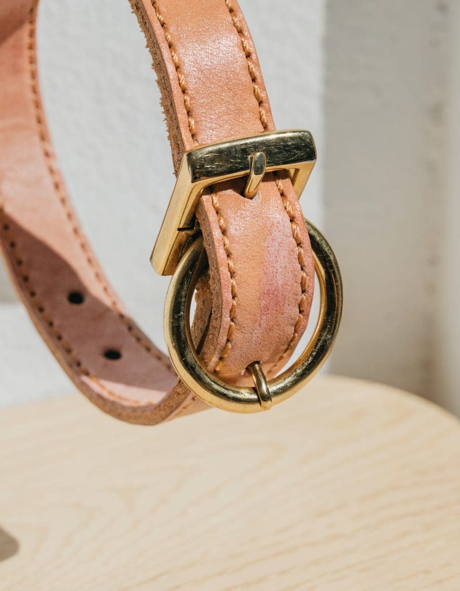 Rolled Leather Collar, view 2