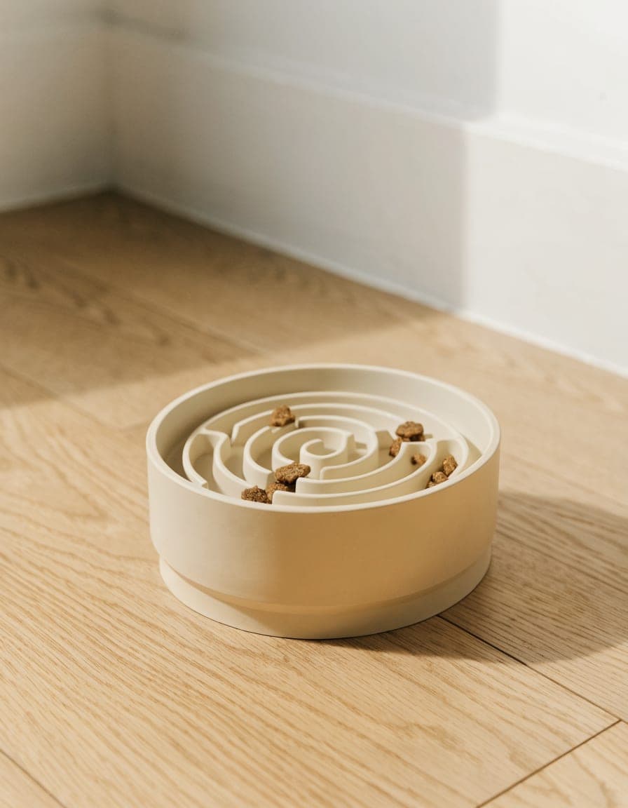 Slow Feeder Bowl
