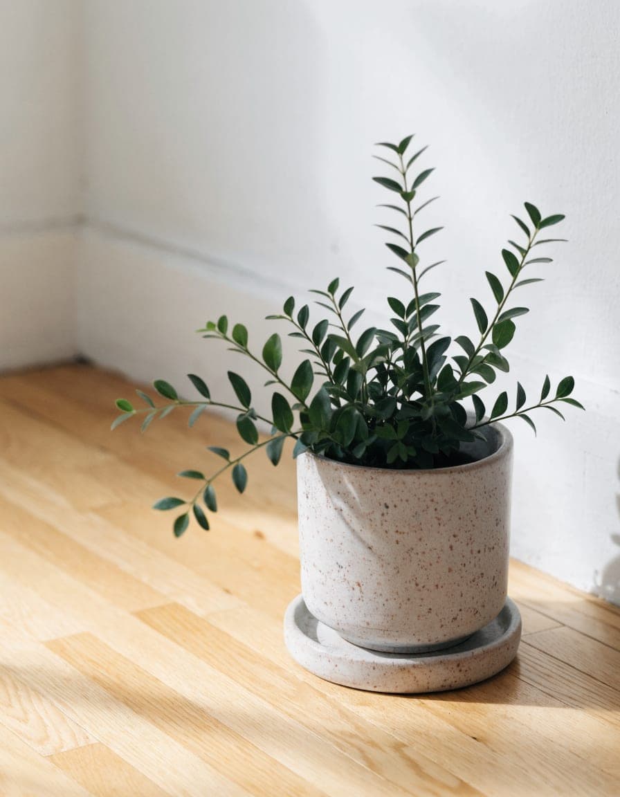 Speckled Planter